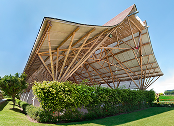 Edificaciones Perennes